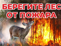 Постановление о снятии на территории Республики Бурятия особого противопожарного режима