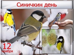 Заповедник «Джергинский» приглашает отметить Синичкин день!