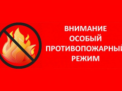 Введен особый противопожарный режим