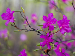 На заповедных тропах